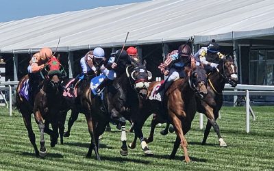 Experts’ Preakness day undercard stakes picks