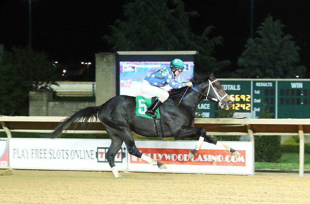 CT: Moonlit Notion remains undefeated in Coin Collector