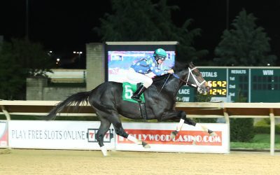 CT: Moonlit Notion remains undefeated in Coin Collector