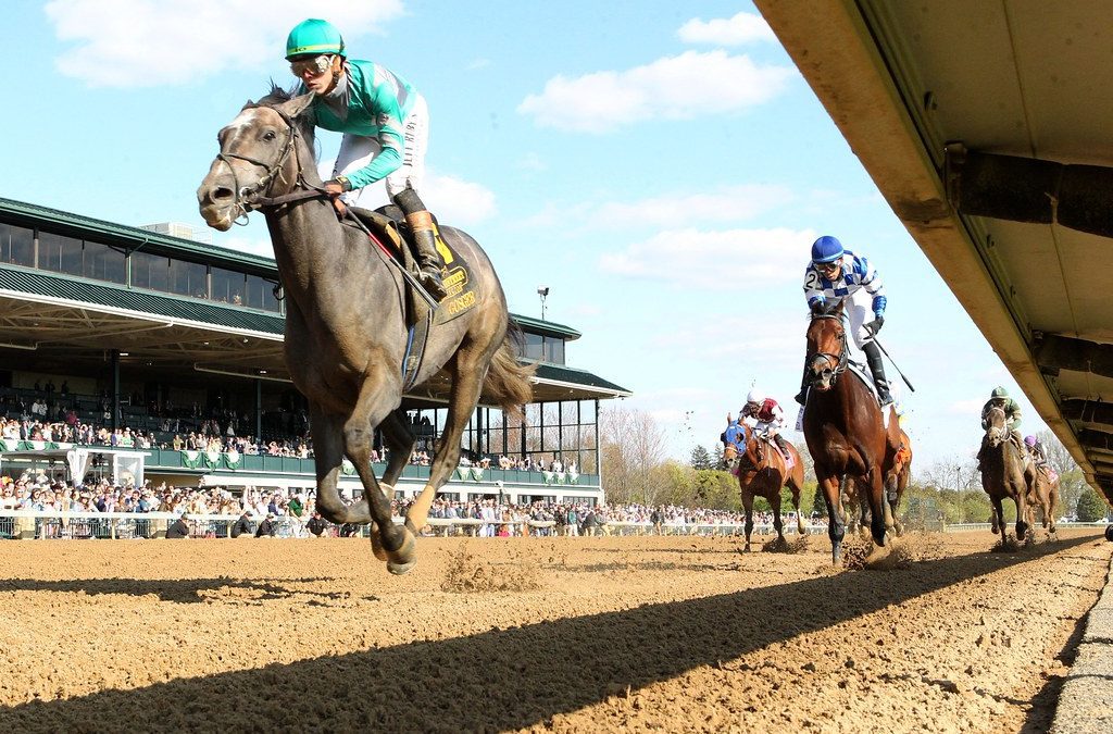 Preakness Profile: Gosger