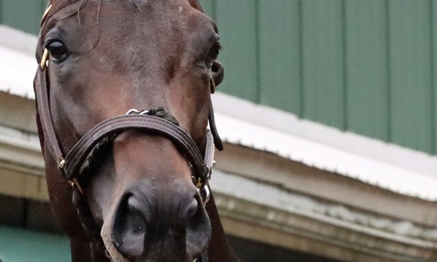 Preakness Profile: Goal Oriented