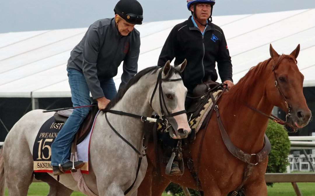 Preakness Profile: Sandman
