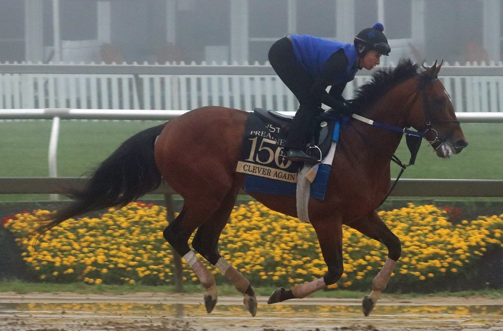 Preakness Profile: Clever Again