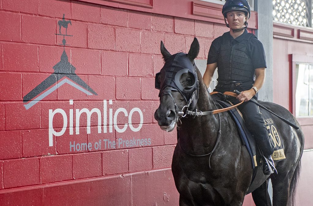 Preakness Profile: Heart of Honor