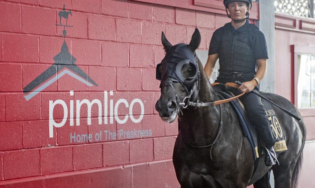 Preakness Profile: Heart of Honor