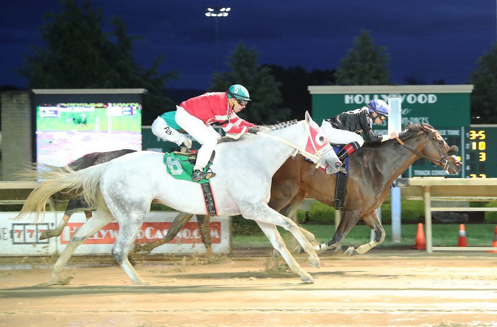 Thewitchisgone conjures up solid resume