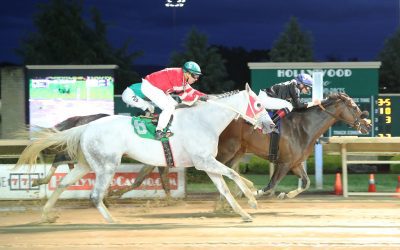 Thewitchisgone conjures up solid resume