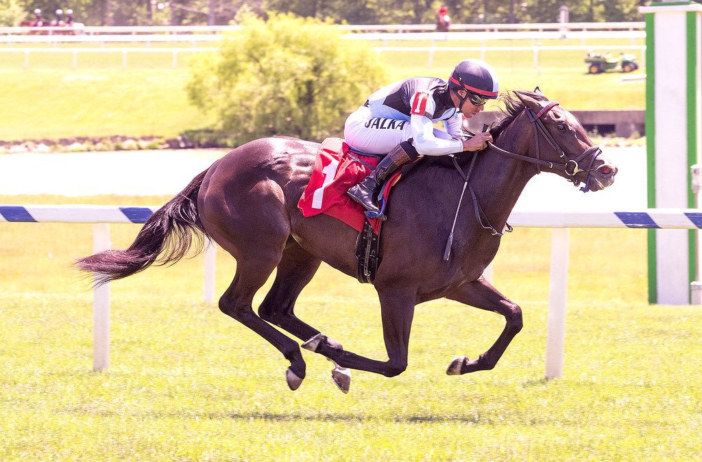 Roja takes step up in Stormy Blues