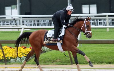 Experts’ Belmont Stakes picks