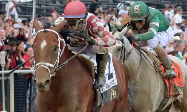 Preakness winner Journalism heads Haskell nominations