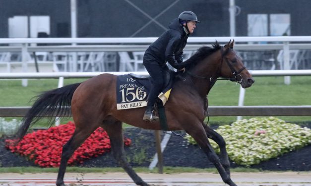 Preakness Profile: Pay Billy