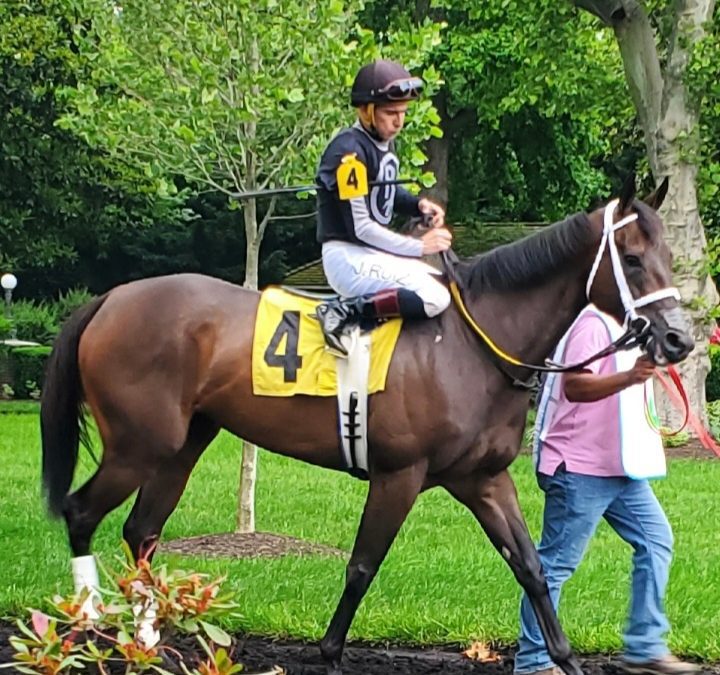 Delaware: R Disaster scores in Rehoboth