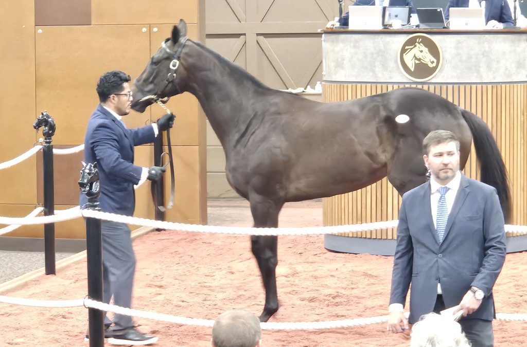Fasig-Tipton 2yo sale tops $44 million, sets record