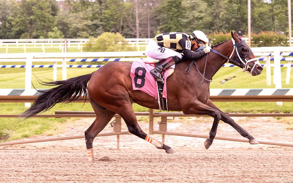 Laurel: In My Memories recalls winning ways in feature