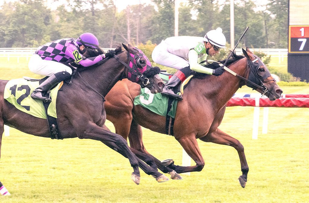 Lifelovenlaughter scores in Laurel allowance