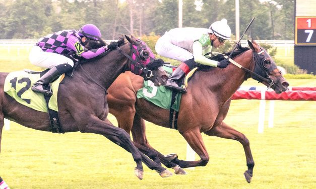 Lifelovenlaughter scores in Laurel allowance