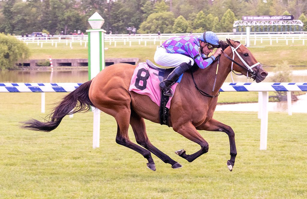 Laurel: Lil’ Regard undefeated after worst-to-first rally