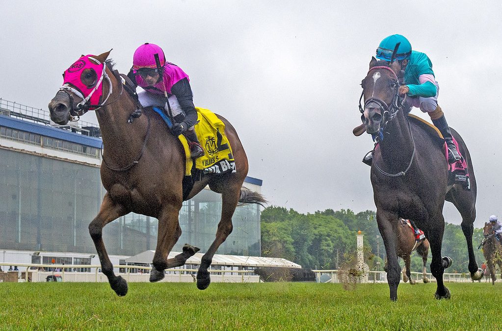 Gata Brazil upsets Stormy Blues