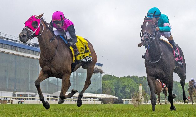 Gata Brazil upsets Stormy Blues