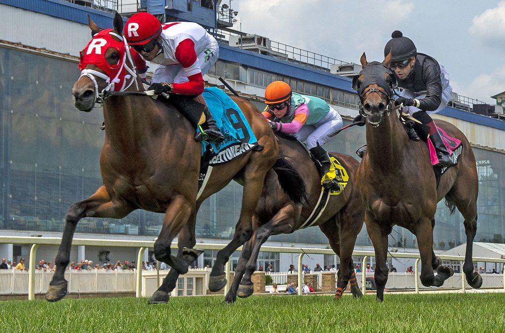 Whenigettoheaven doubles up in Ben’s Cat