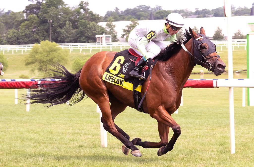 Lifelovenlaughter shortens up to win Jameela