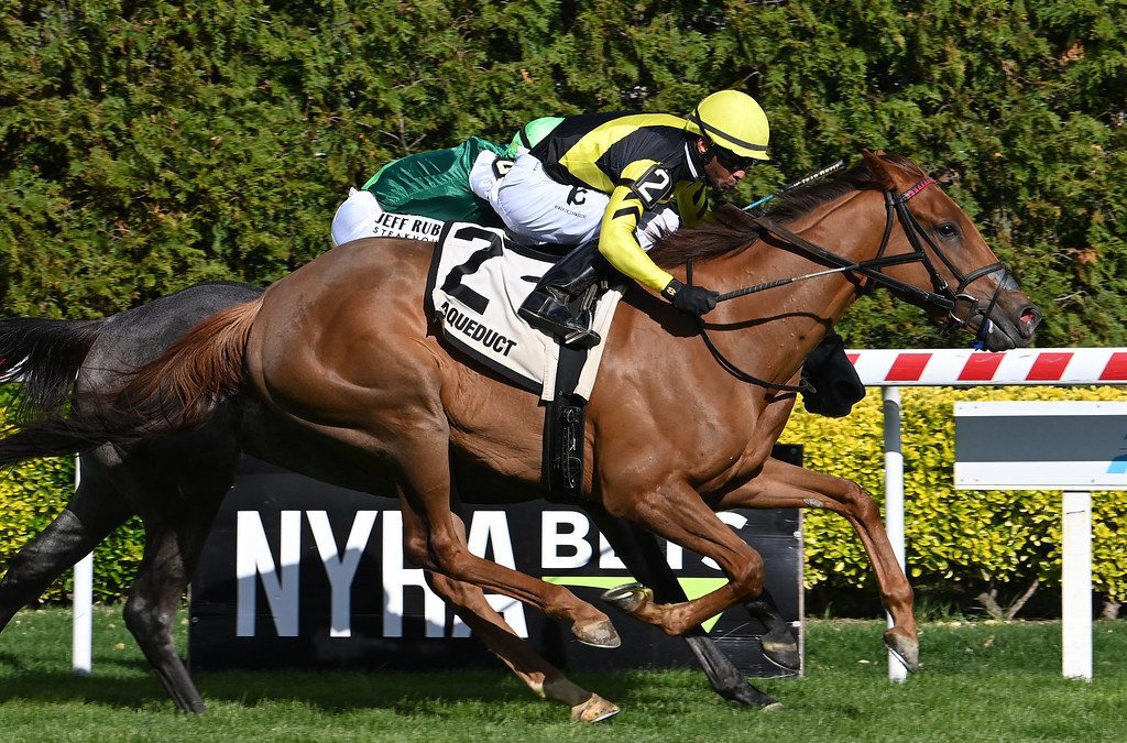 Laurelin puts spotless mark on the line in Penn Oaks