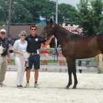 A few minutes with… Ann Merryman