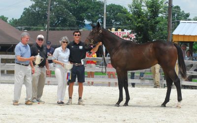 A few minutes with… Ann Merryman