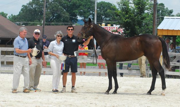 A few minutes with… Ann Merryman