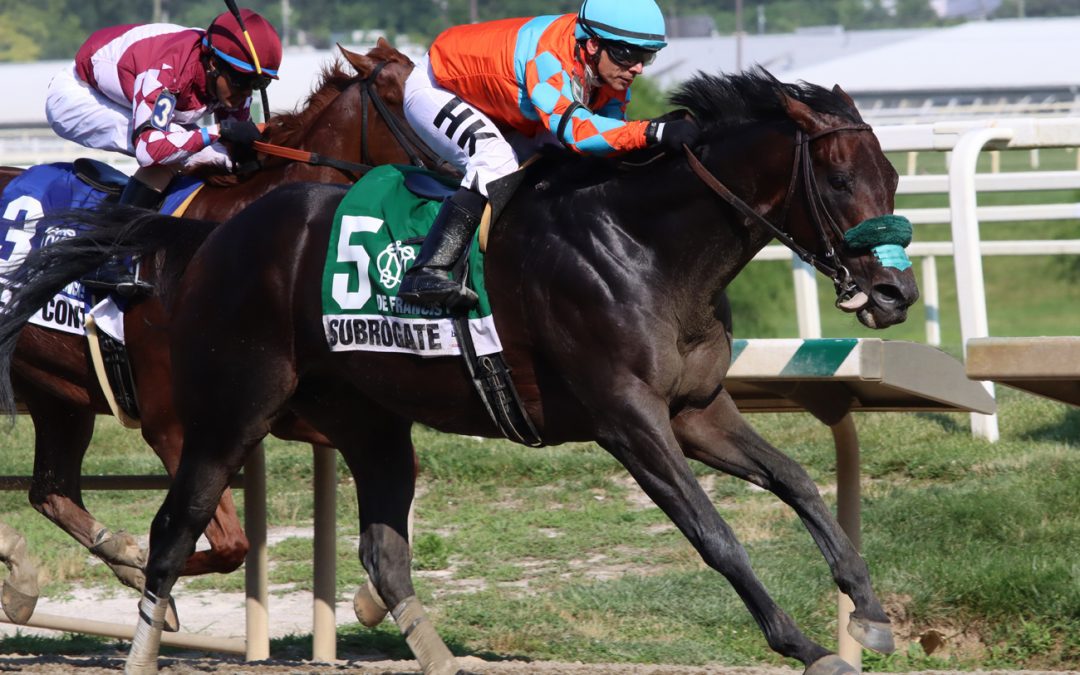 Subrogate prevails in De Francis Dash