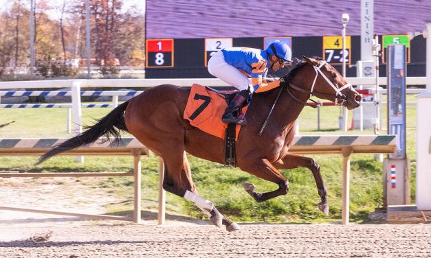 Colonial: Competitive group to dance in Miss Disco