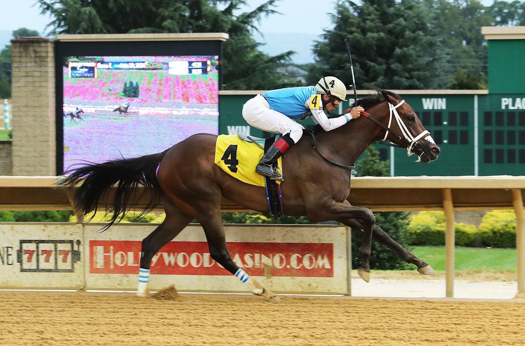 Edy’s Flame heats up in first CT 2yo race