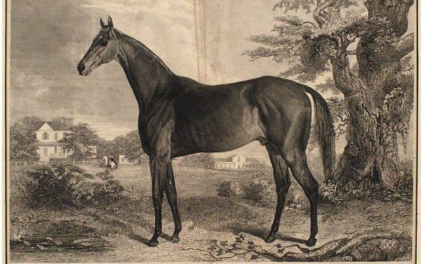 Argyle and Thoroughbred racing in the 1830s