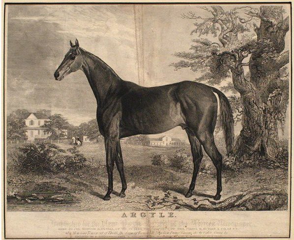 Argyle and Thoroughbred racing in the 1830s