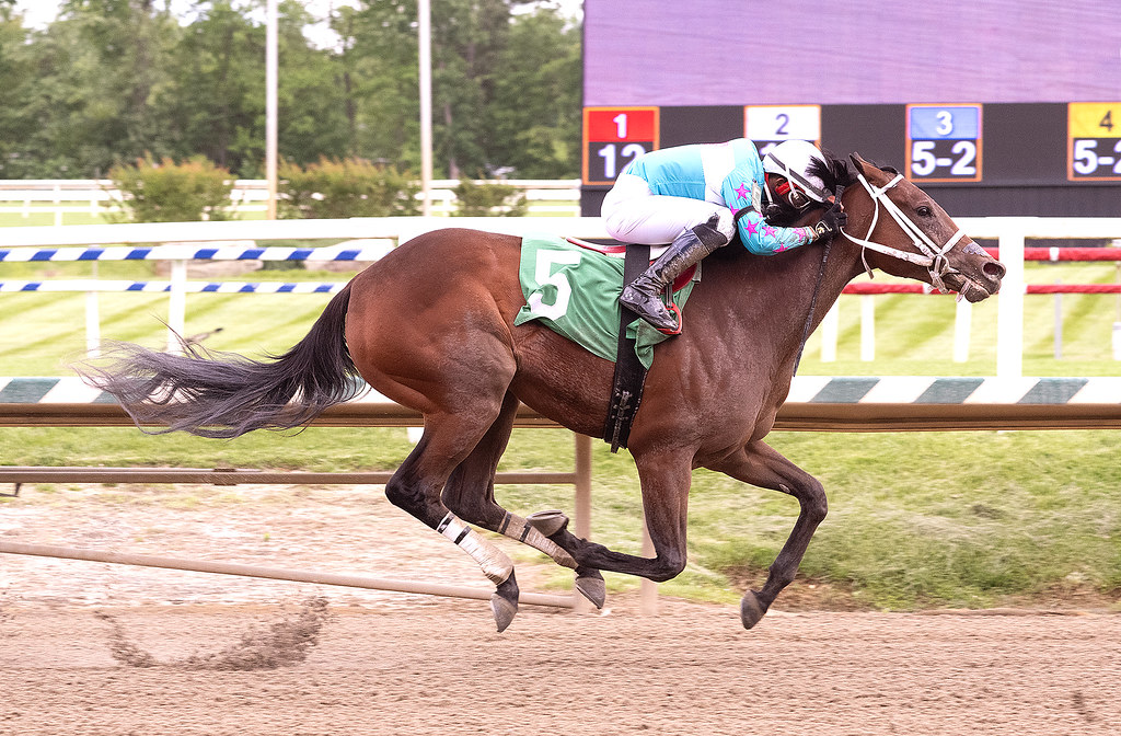 CNL: Flashy first-out winners to collide in Keswick