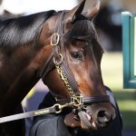 Millionaire Be Your Best on a roll into Beverly D.