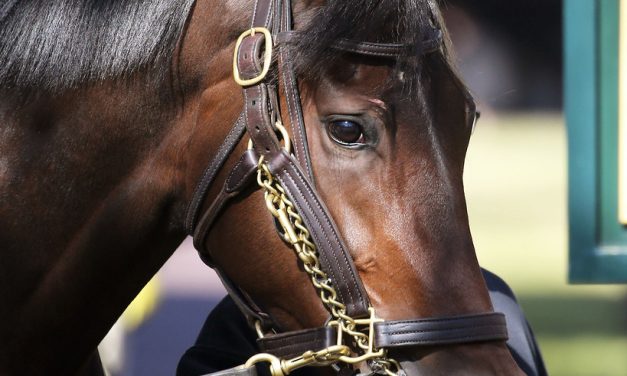 Millionaire Be Your Best on a roll into Beverly D.