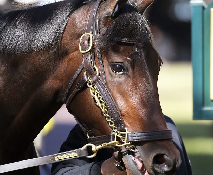 Millionaire Be Your Best on a roll into Beverly D.