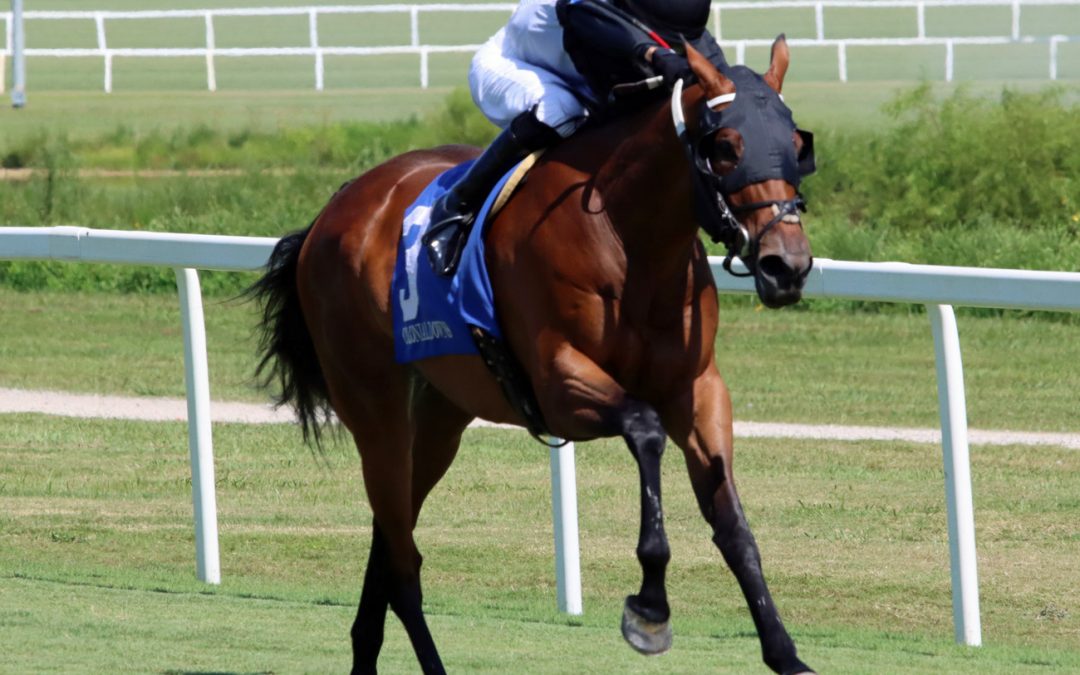 Hollywood Walks strolls to victory in Andy Guest