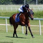 Hollywood Walks strolls to victory in Andy Guest