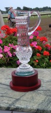 mollypitchertrophy