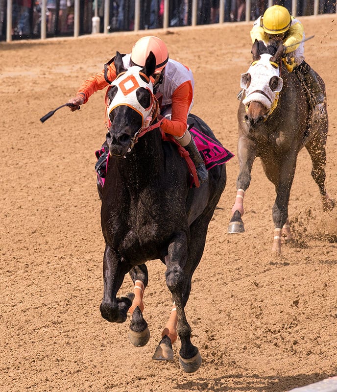 Ben’s Cat notches third McKay in four years