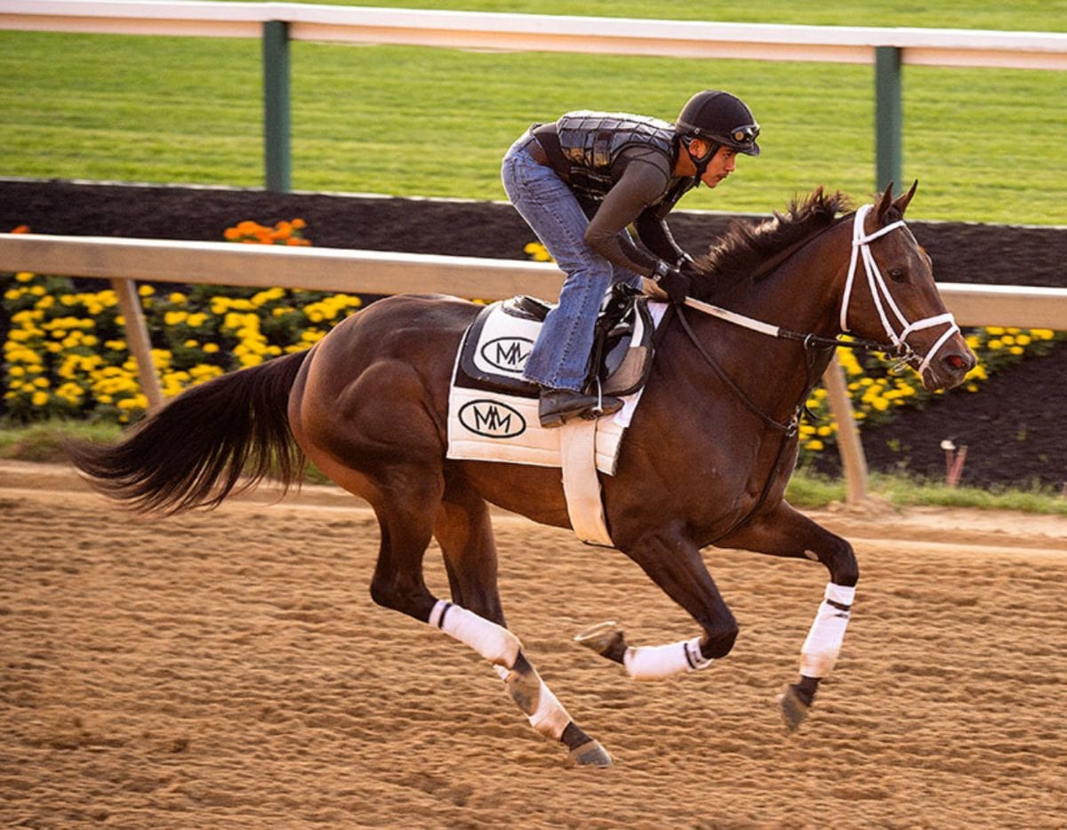 Preakness Profiles: General a Rod