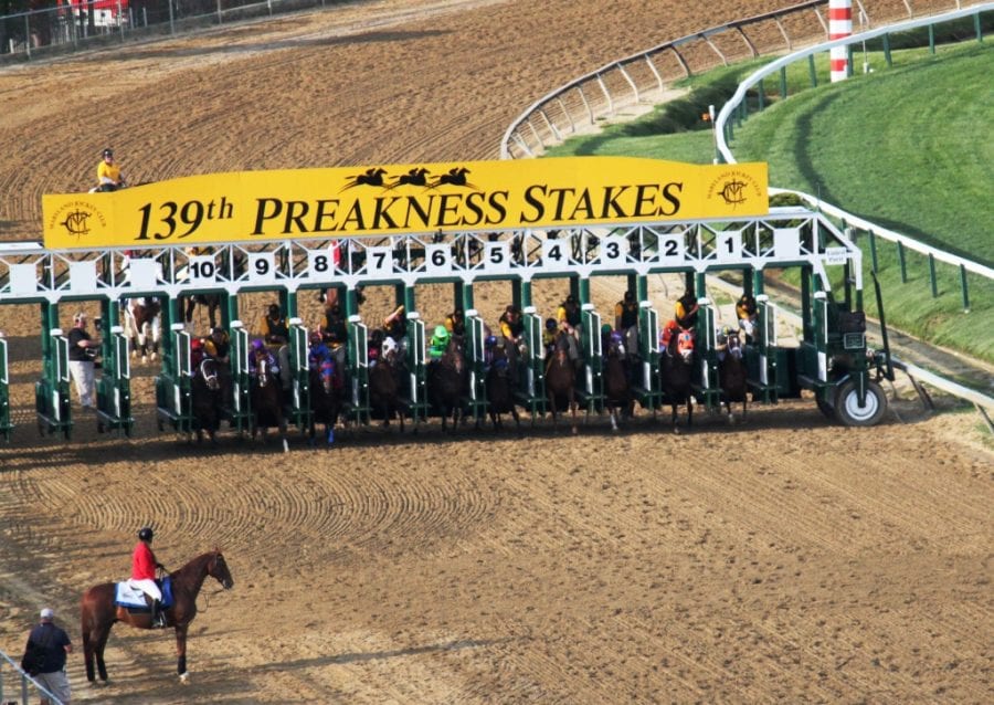 California Chrome wins 139th Preakness Stakes
