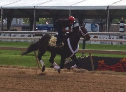 rideoncurlin