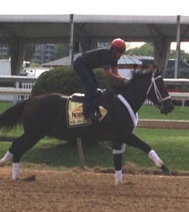 rideoncurlin2